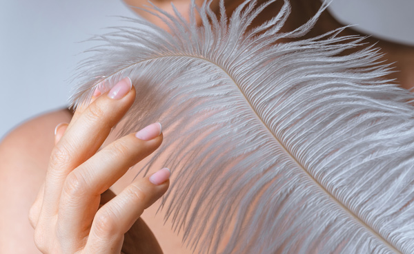 closeup of female hand with smooth skin and soft ostrich feather